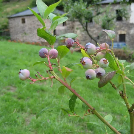 Hébergement de vacances Casa Da Sapeira
