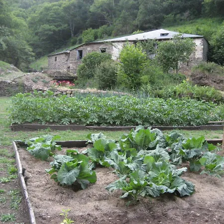Casa Da Sapeira